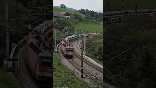 Trainspotters train nature rails [upl. by Hildegarde]