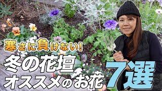 【まだ間に合う】春まで楽しめる♪丈夫なお花と植え付けのコツをプロが伝授します【初心者向け】【ガーデニング】【園芸チャンネル】 [upl. by Nekcarb356]