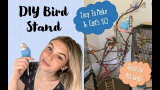 How to Make a Bird Stand  DIY Bird Playground [upl. by Naiviv436]