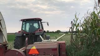 Chopping Corn with Gehl 1060 and New Holland 8670 G170 [upl. by Ffej]