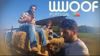 WWOOFer Experience in Portugal [upl. by Rimaa853]