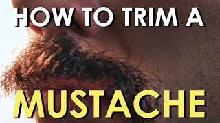 How to Trim Your Mustache  The Art of Manliness [upl. by Gillespie]