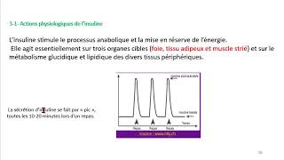 Cours dEndocrinologie vidéo 8  Le Pancréas [upl. by Spielman]