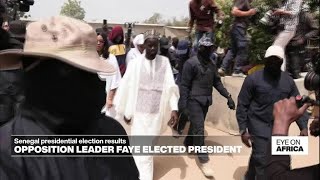 Senegals opposition leader Bassirou Diomaye Faye elected president • FRANCE 24 English [upl. by Kantos]