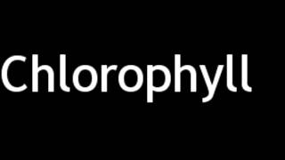 How to Pronounce Chlorophyll [upl. by Nesnah]