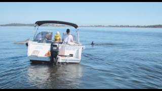 Be a boat owner for a day in Mandurah only 1 hour from Perth [upl. by Nagiam]