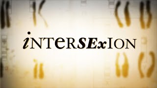 Intersexion Film Trailer [upl. by Nauqel458]