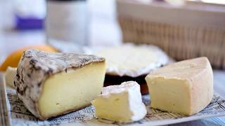 9 Most Popular  TYPES OF CHEESE  YOU MUST KNOW  KnowFacts [upl. by Veradi]