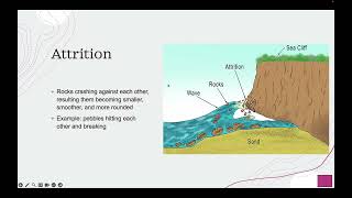 Coasts Erosion Transportation Deposition  GCSE Geography [upl. by Nnaeirrac]