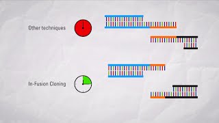 InFusion® Cloning vs other seamless cloning technologies [upl. by Nihsfa]