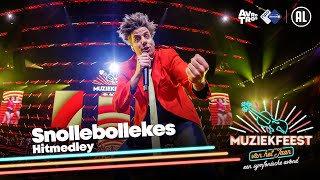 Snollebollekes  Hitmedley met oa Links rechts amp Vrouwkes • Muziekfeest van het Jaar  Sterren NL [upl. by Leasi348]