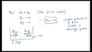 Water Potential Solute Potential and Pres [upl. by Ayeki]