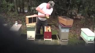 FBM Installs a Package of Bees [upl. by Eleph]