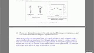 Photoperiodism and the Phyochrome system NCEA question [upl. by Uball272]