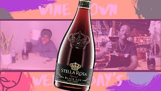 Stella Rosa Black Lux Wine Review  Wine Down Wednesdays [upl. by Buehler501]