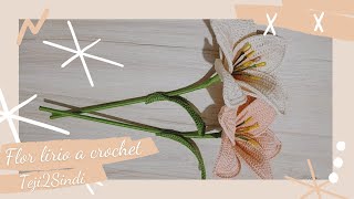 Lirios tejidos a crochet fáciles de hacer  Teji2Sindi ♡ [upl. by Sauder]