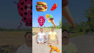 Eating biscuit chiken  Frogs icecream burger vs Chilli insect amp fatty dog egg  funny vfx video [upl. by Werby]