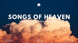 Prophetic Worship Instrumental  Songs of Heaven  For Prayer and Meditation [upl. by Gorman]