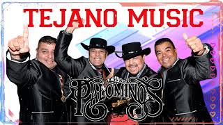 Los Palominos Mega Mix  Grandes Éxitos Inmortales  Tejano Music  Norteños Mix 2022 [upl. by Sanfo]