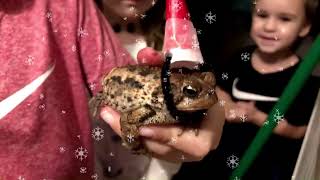 The Christmas Toad [upl. by Ferdinande]