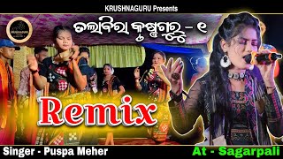 Talabira Krushna GuruPuspa MeherRemix VideoAt Sagarpali [upl. by Austreng]