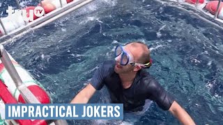 Impractical Jokers  Swimming with the Sharks Punishment  truTV [upl. by Gilroy]