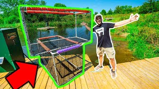 Building a HOMEMADE FISH HATCHERY in My BACKYARD POND Will it Work [upl. by Allie]