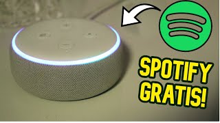 NOVITÀ ALEXA Ora puoi ascoltare musica gratis con Spotify [upl. by Marih]