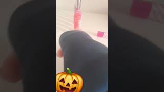 I miei gloss TRA POCO È HALLOWEEN [upl. by Annagroeg708]