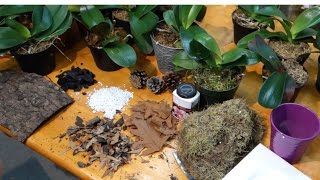 How to prepare the best potting media for Phalaenopsis orchids [upl. by Gaither]