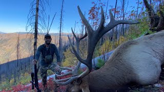 My Biggest Bull Elk Yet Backcountry Idaho Elk Hunt  S7E12 Limitless Outdoors [upl. by Nonnahs]