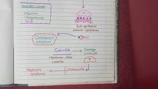 Membranous Nephropathy  Pathology [upl. by Aiciruam]