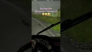 Springender Öltransport Vorraus 😅😅😅 fernbussimulator funny fun gaming fail dark bug [upl. by Nileuqcaj543]