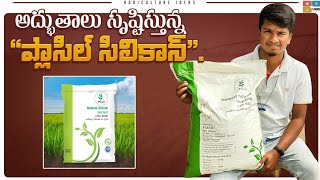 Plasil Silicon Fertilizer  Silicon Fertilizer in Agriculture  Tamada Media  Shiva Agri Clinic [upl. by Pazice174]