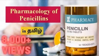 17 Penicillins💊 Pharmacology in Tamil  Beta Lactam AntiBiotics [upl. by Marijo]