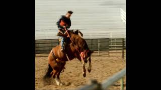 Bucking bronc riding buckaroo shorts [upl. by Ieppet]