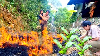 Single mothers life  reclaiming land to grow vegetables improving life raising children alone [upl. by Nomi]