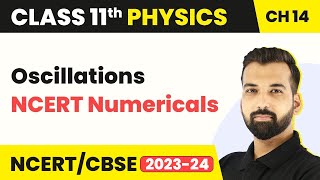 Class 11 Physics Chapter 14  NCERT Numericals  Oscillations  Class 11 Physics CBSENCERT [upl. by Seumas]