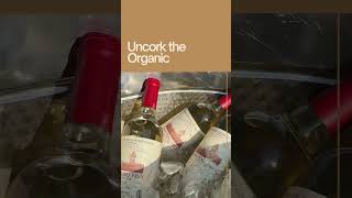 Frey Vineyards OrganicWine sustainablesips FreyVineyards ChateauFrey WinePouring WineAndDine [upl. by Aniles]