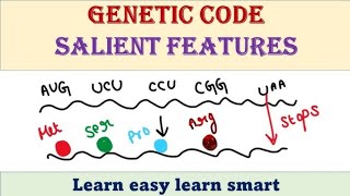 Genetic Code12 Biology Molecular Basis of Inheritance [upl. by Tabina335]