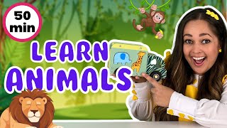 Learn Animals For Kids  Animal Songs Old MacDonald 5 Little Monkeys  Toddler Learning Videos [upl. by Etrem]