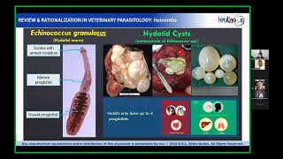 Parasitology Lecture 3 Part 2 [upl. by Rennob]