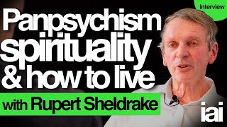 Panpsychism spirituality and consciousness  Rupert Sheldrake [upl. by Eentirb482]