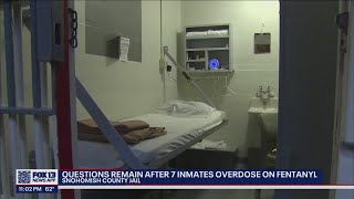 Questions remain after 7 inmates overdosed on fentanyl in Snohomish County Jail  FOX 13 Seattle [upl. by Jerman]