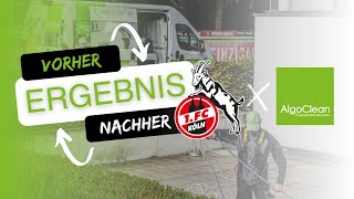 Fassadenreinigung beim 1 FC Köln  Algoclean Fassadenreinigung [upl. by Evette]