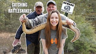 You wont BELIEVE how many snakes we caught [upl. by Market]