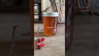 rosehip jelly ❤️ october foraging 🍁 october foraging fall autumn slowlife softlife nature [upl. by Bradney762]