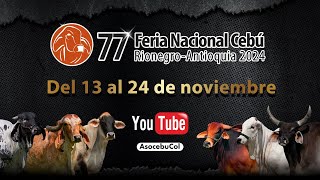 77° Feria Nacional Cebú Rionegro  Antioquia 2024  Día 3 [upl. by Aryc166]