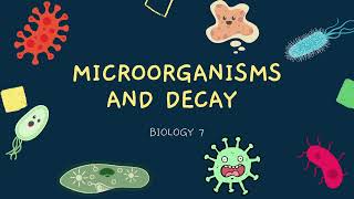 Microorganisms and Decay  Microorganisms Friend or Foe  Miss Eileens Biology Class [upl. by Ttesil]