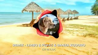 Remix  LIMBO amp PEPAS amp DANZA KUDURO DJ MLUC [upl. by Castera]